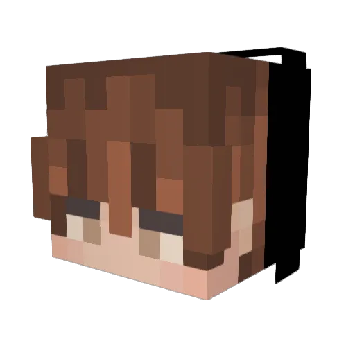 IGNsweat Minecraft avatar head, 3D render