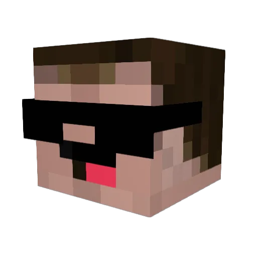 IGS_Donger Minecraft avatar head, 3D render