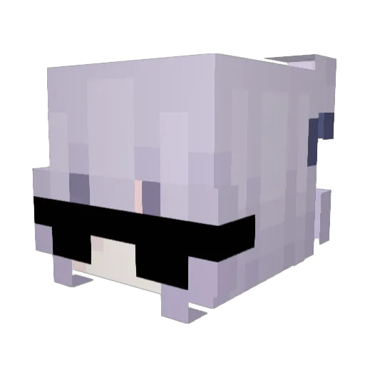 IGet25BucksAWeek Minecraft avatar head, 3D render