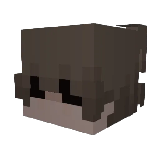 IGoToUBC Minecraft avatar head, 3D render