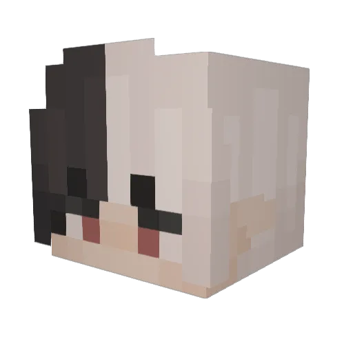 IGotCoronaVirus Minecraft avatar head, 3D render