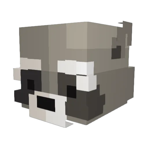 IGotCuteToes_ Minecraft avatar head, 3D render