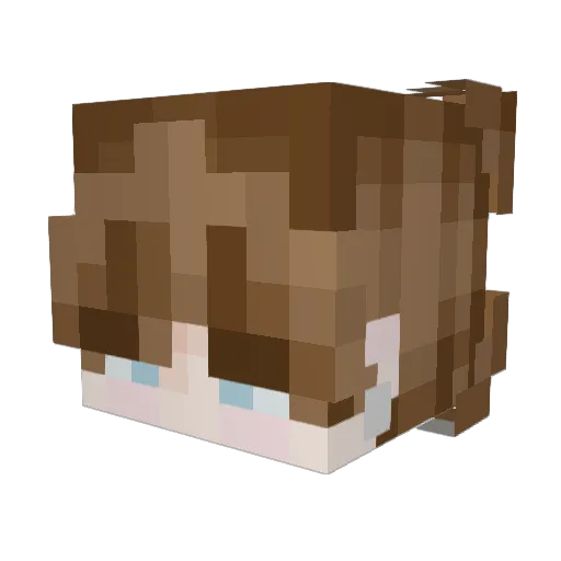 IGotFrames Minecraft avatar head, 3D render