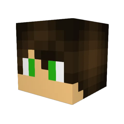 IGotYouHard Minecraft avatar head, 3D render
