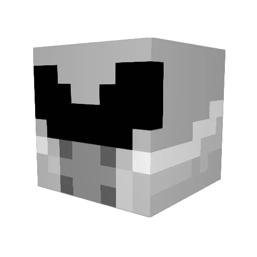 IGotsNoLife Minecraft avatar head, 3D render