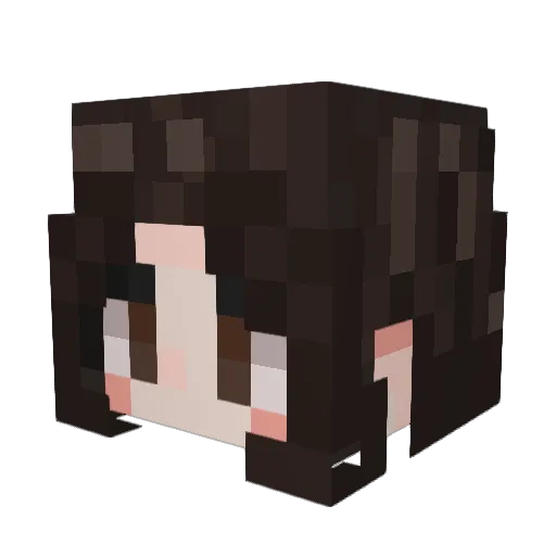IHATEU_ Minecraft avatar head, 3D render