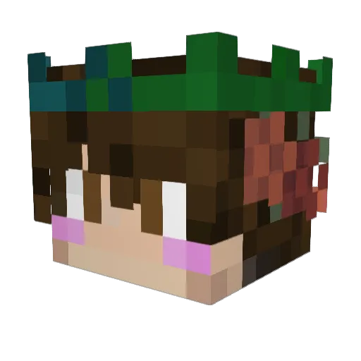 IHackedWalmart Minecraft avatar head, 3D render