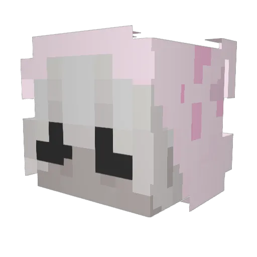 IHadPostNut Minecraft avatar head, 3D render