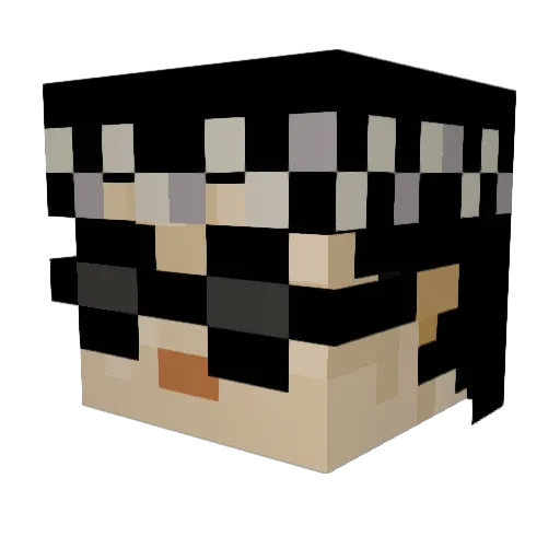 IHasArmzz Minecraft avatar head, 3D render