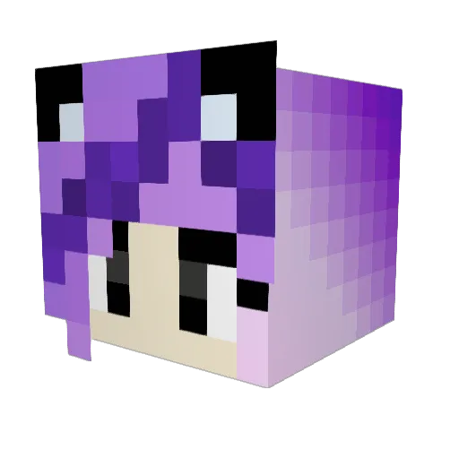IHasCupQuake424 Minecraft avatar head, 3D render