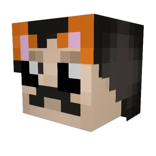IHasHairs123 Minecraft avatar head, 3D render