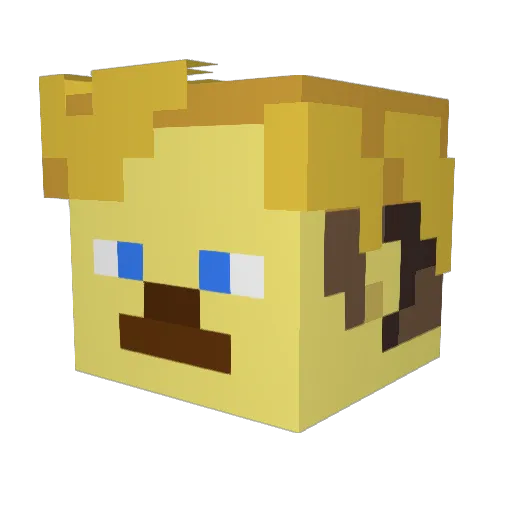 IHave30STDs Minecraft avatar head, 3D render