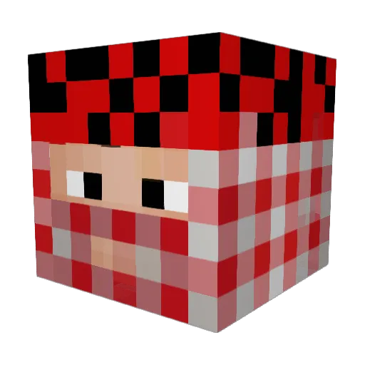 IHaveNoDad Minecraft avatar head, 3D render