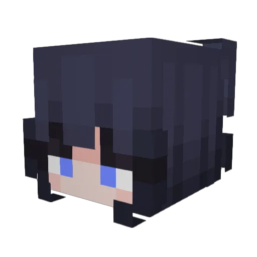 IHaveNoOPSEC Minecraft avatar head, 3D render
