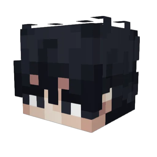 IIBruceWayne Minecraft avatar head, 3D render