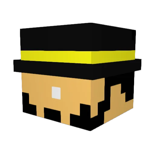 IIDr_SLOOM_II Minecraft avatar head, 3D render