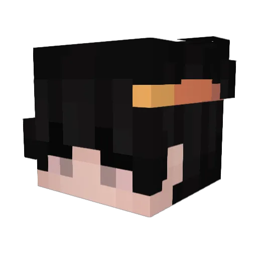 IIHHHII Minecraft avatar head, 3D render