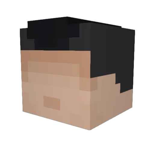 IIIHARTIII Minecraft avatar head, 3D render