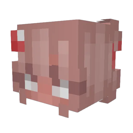 IIIhax Minecraft avatar head, 3D render