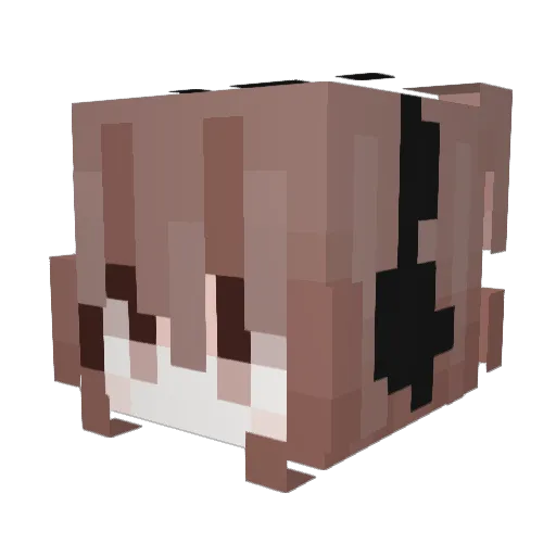 IIIllIlIIIlII Minecraft avatar head, 3D render