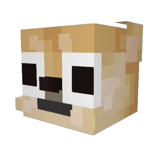 IIIlllIIIllllIII Minecraft avatar head, 3D render