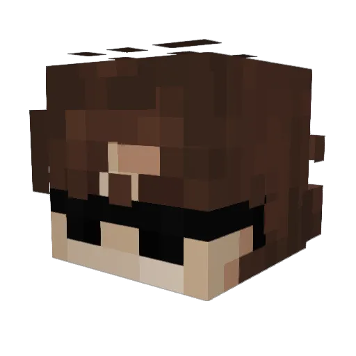 IIM7__ Minecraft avatar head, 3D render