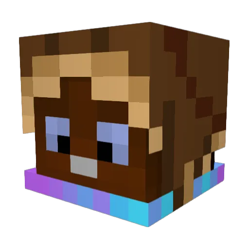 IIPigeon Minecraft avatar head, 3D render