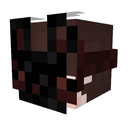 IIPsYcHoTiCII Minecraft avatar head, 3D render