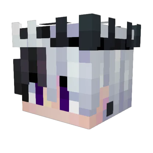 IIRuiN Minecraft avatar head, 3D render