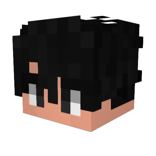 IISECOII Minecraft avatar head, 3D render