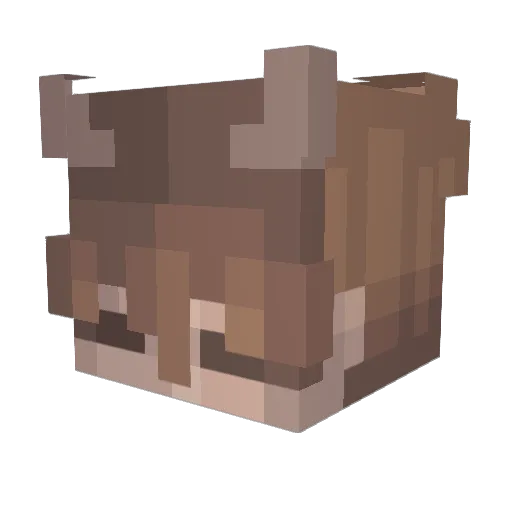 IISilverWood Minecraft avatar head, 3D render