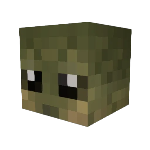 IIVanityII Minecraft avatar head, 3D render