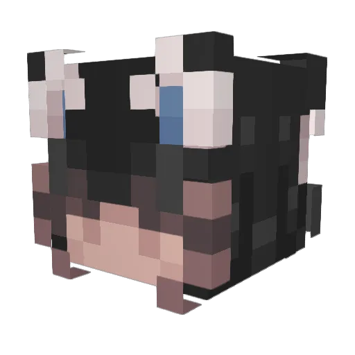 IIVxltzII Minecraft avatar head, 3D render