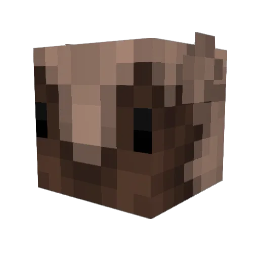 II_Balx0 Minecraft avatar head, 3D render