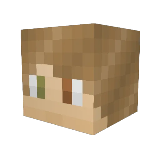 II_Elijah_II Minecraft avatar head, 3D render