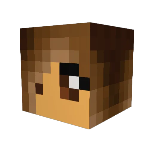 II_ReLic_X Minecraft avatar head, 3D render