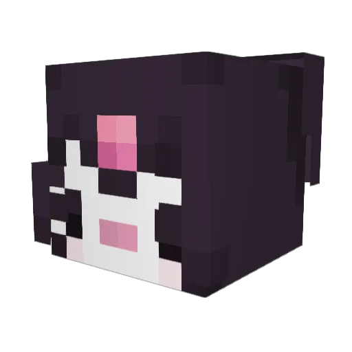 IIbee Minecraft avatar head, 3D render