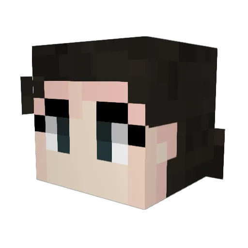 IIdk_ Minecraft avatar head, 3D render