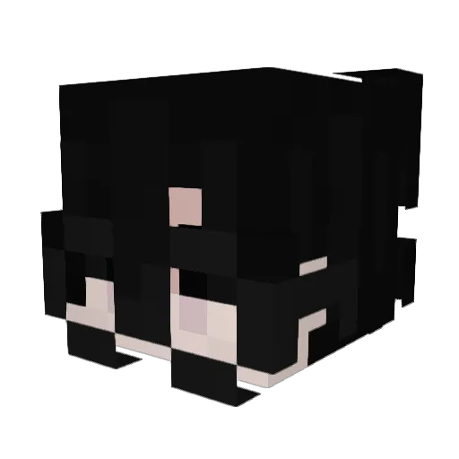 IIlIlll Minecraft avatar head, 3D render