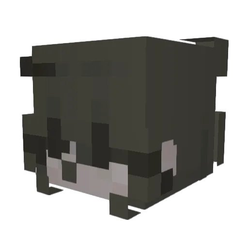IIllLANGllII Minecraft avatar head, 3D render