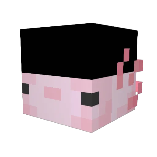 IIuer Minecraft avatar head, 3D render