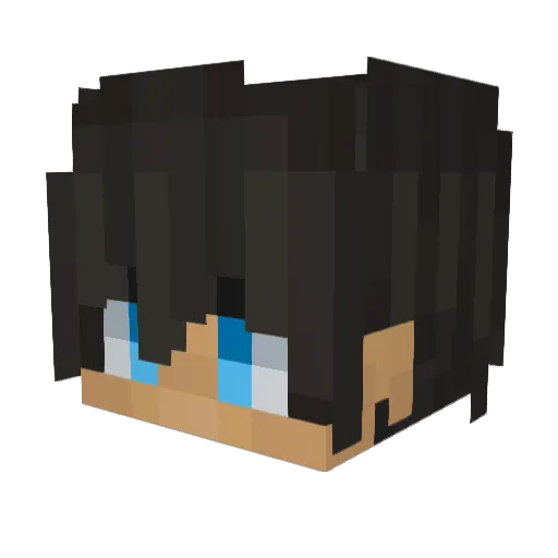 IJUNE_ Minecraft avatar head, 3D render
