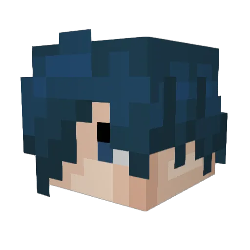 IJustWant2Fly Minecraft avatar head, 3D render