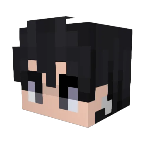 IKUN11777 Minecraft avatar head, 3D render