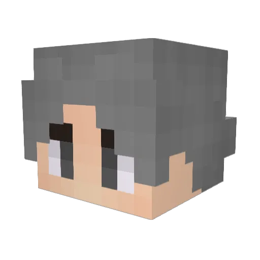 IKUN_SB Minecraft avatar head, 3D render