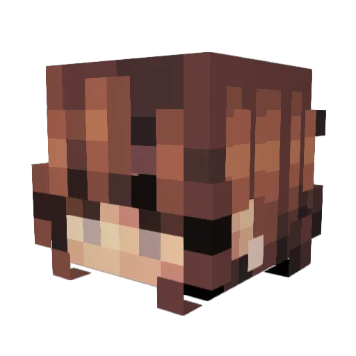 IKillrr Minecraft avatar head, 3D render