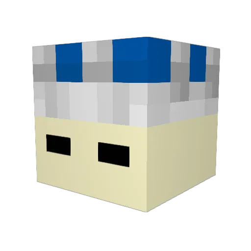 IKnowSeasons Minecraft avatar head, 3D render