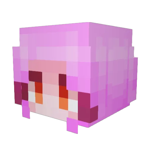 IKun11451 Minecraft avatar head, 3D render
