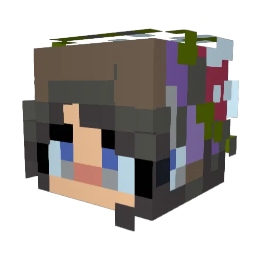 IL0_ Minecraft avatar head, 3D render