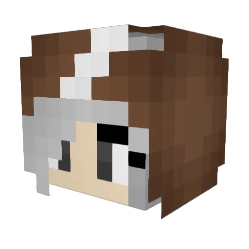 IL3VF4H0DY Minecraft avatar head, 3D render
